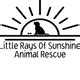 Little Rays of Sunshine Animal Rescue